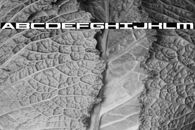 Classic Cobra Font examples