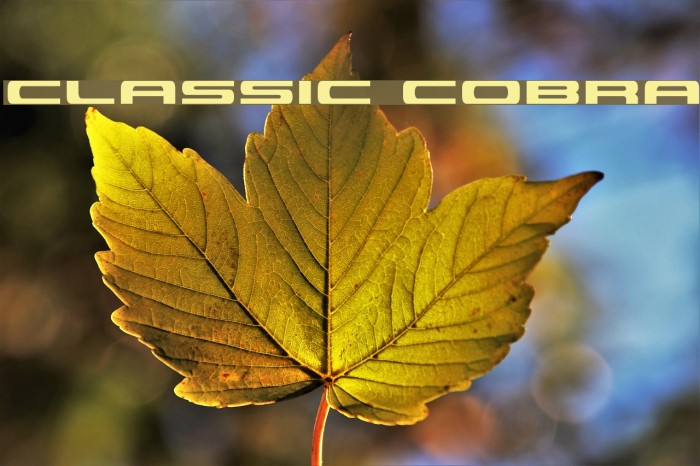 Classic Cobra Font examples