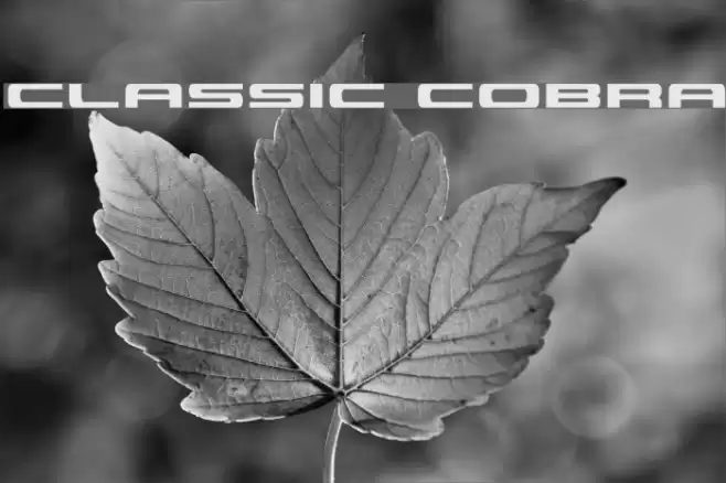 Classic Cobra Font examples