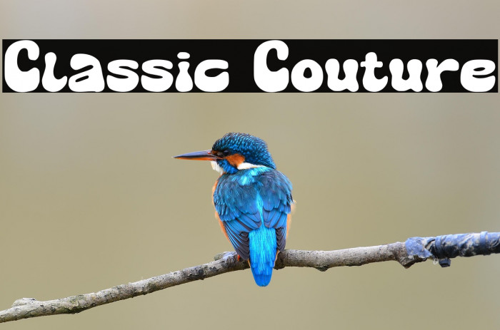 Classic Couture Example 1