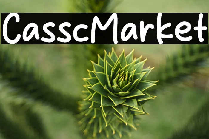 Classic Market Example 1
