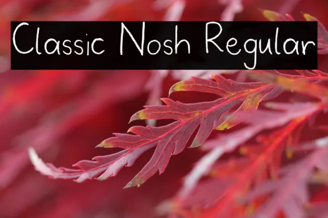 Classic Nosh Regular Example 1