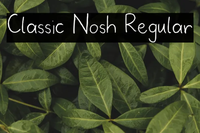 Classic Nosh Regular Example 2