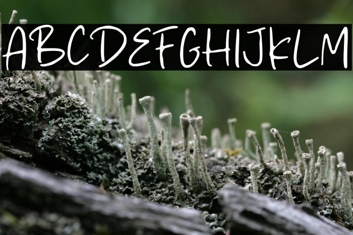 Classic Rise Example 1