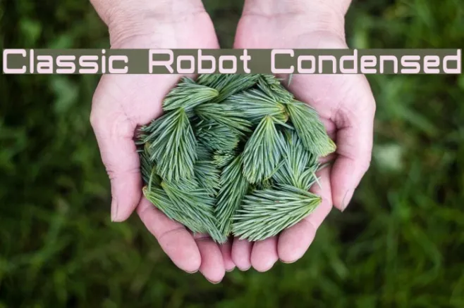 Classic Robot Condensed Example 1