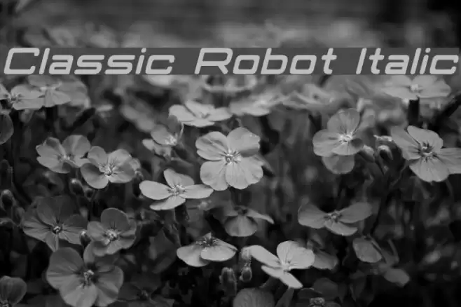 Classic Robot Italic Schriftart examples