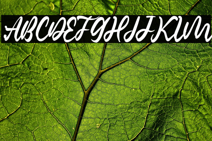 Classic Romantic Example 3