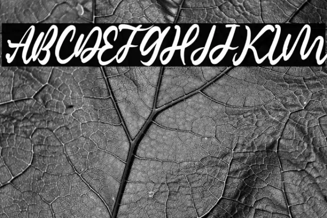 Classic Romantic Font examples