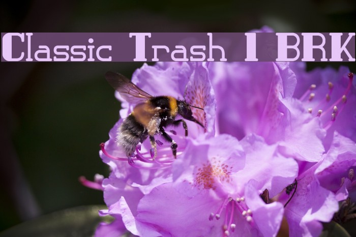 Classic Trash 1 BRK Font examples