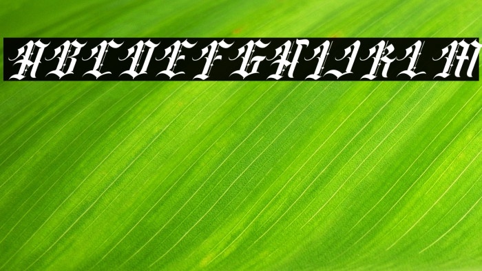 Classic rock band Italic Example 1