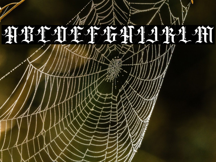 Classic rock band Example 1