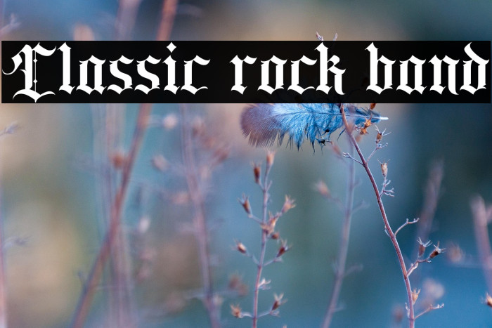 Classic rock band Example 1