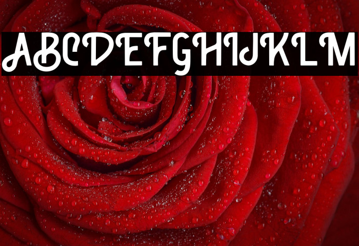 ClassicBronze-Regular Example 3