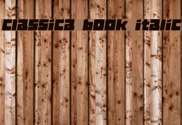 Classica Book Italic Example 1