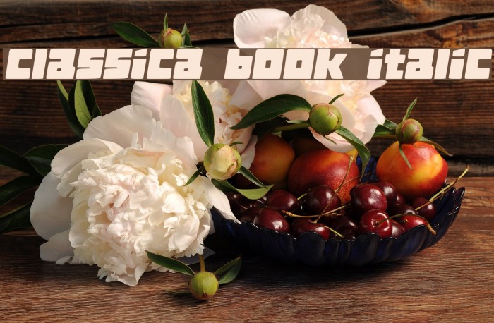Classica Book Italic Example 2