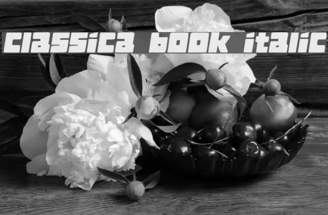 Classica Book Italic Font examples