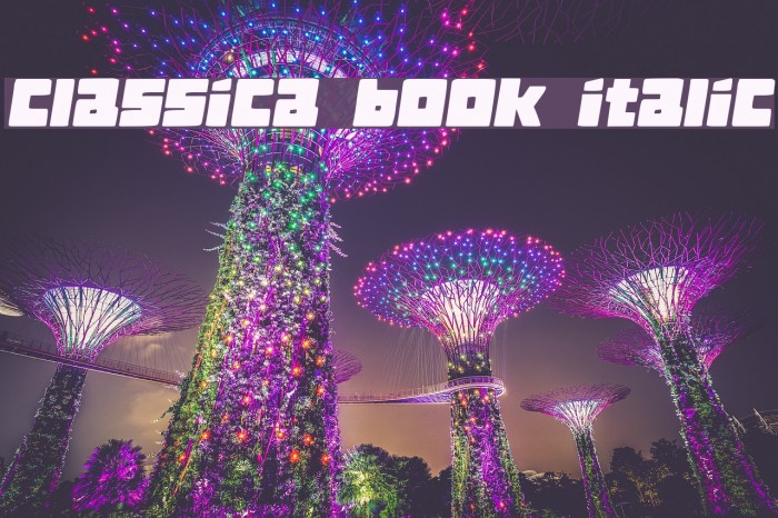 Classica Book Italic Example 3