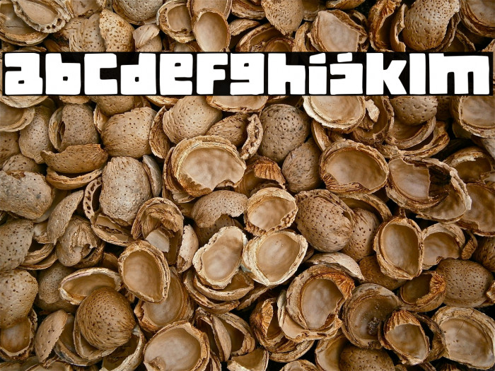 Classica Book Regular Font examples