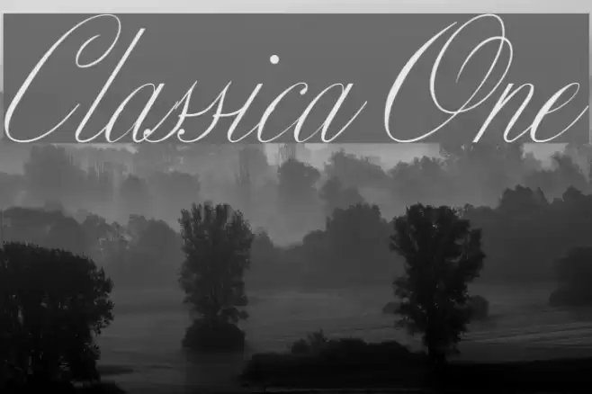 Classica One Polices examples