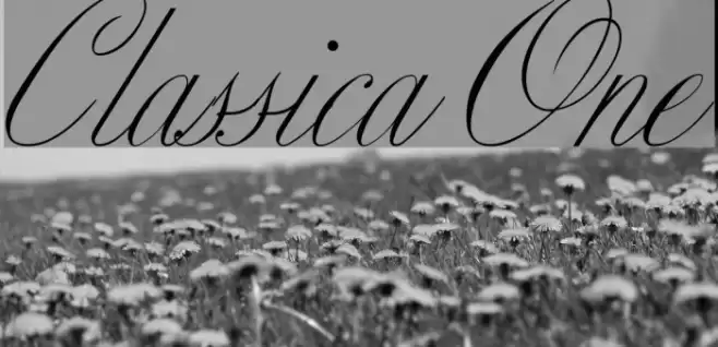 Classica One Polices examples