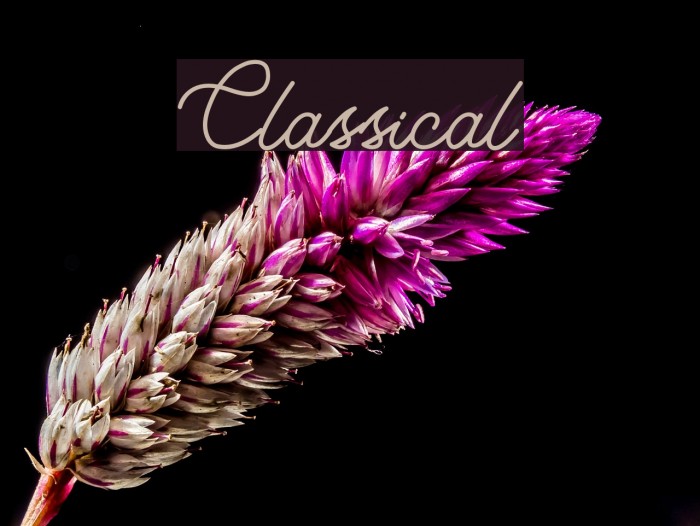 Classical Font examples