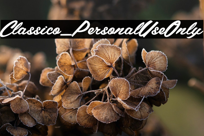 Classico_PersonalUseOnly Example 2