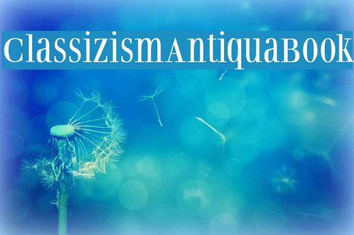 ClassizismAntiquaBook Font examples