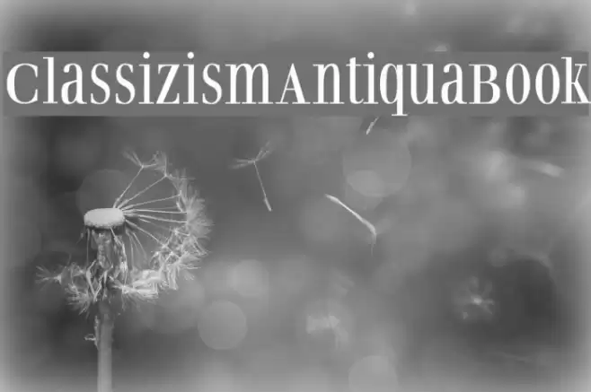 ClassizismAntiquaBook Font examples