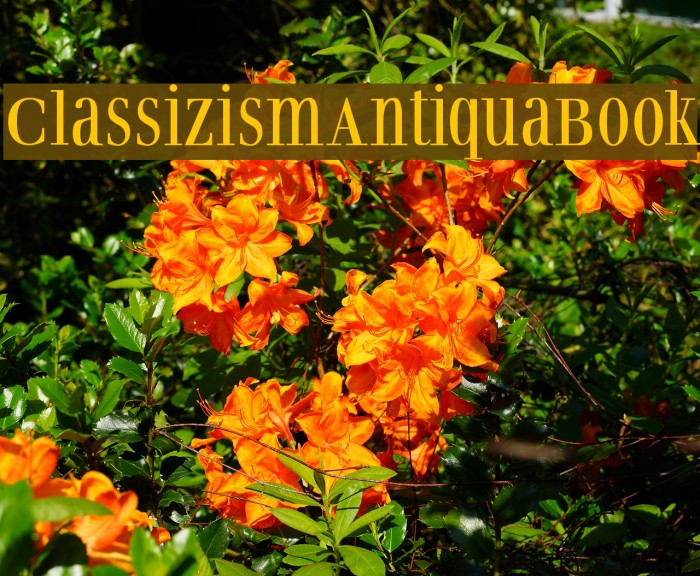 ClassizismAntiquaBook Font examples