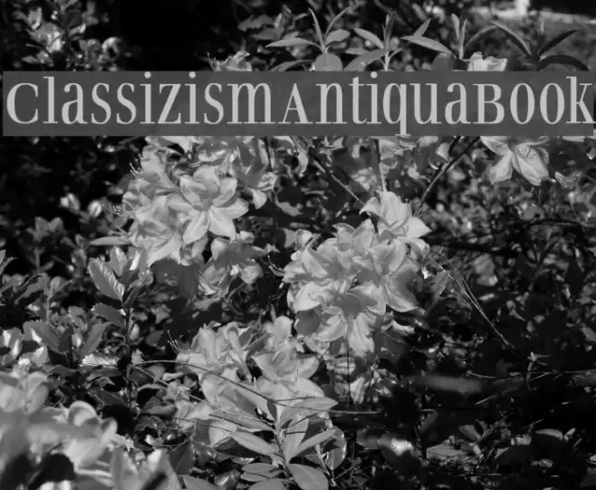 ClassizismAntiquaBook Font examples
