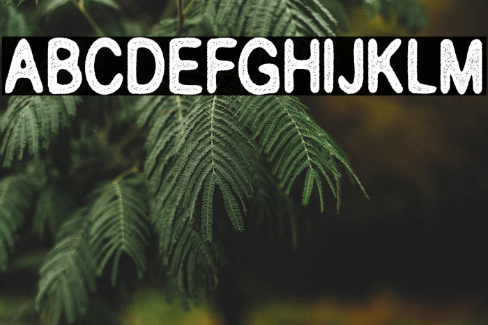 Classroom Personal Use Example 2