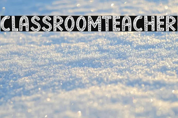 Classroom Teacher Example 2