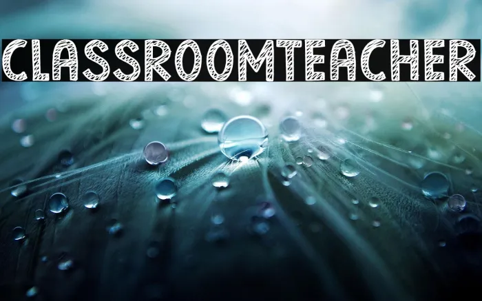 Classroom Teacher Example 3
