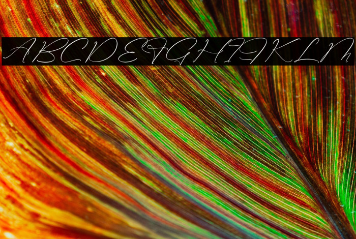 Classthy Theriond Example 2