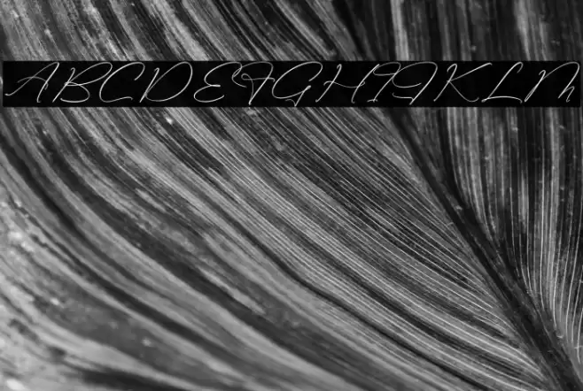 Classthy Theriond Schriftart examples