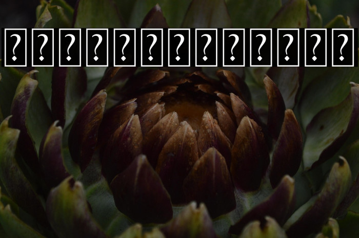 Classualswash Example 1