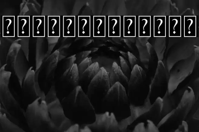 Classualswash Font examples