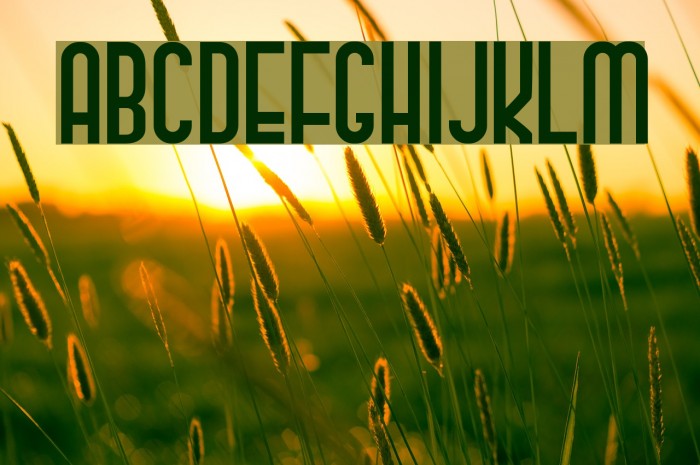 Classy Beautiful 2 Font examples