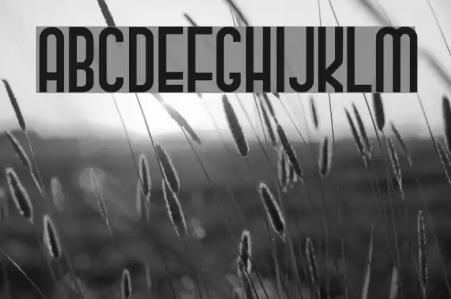 Classy Beautiful 2 Font examples