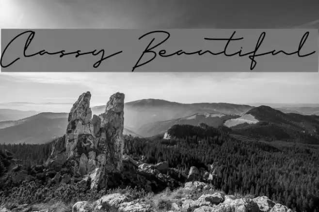 Classy Beautiful Font examples
