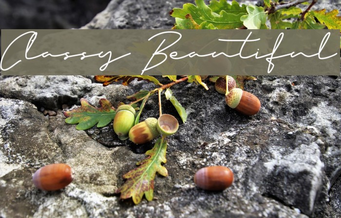 Classy Beautiful Example 3