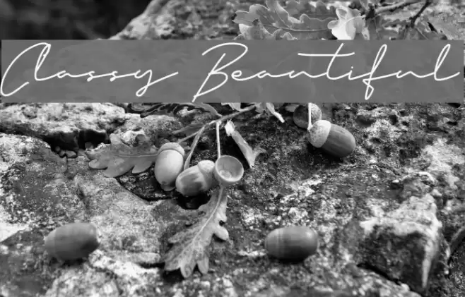 Classy Beautiful Font examples
