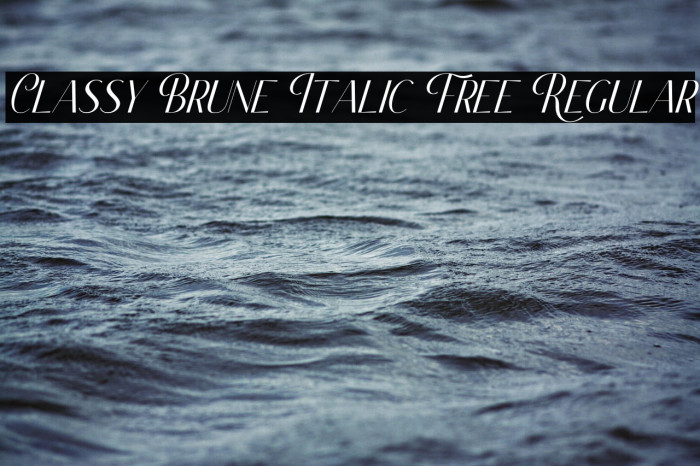 Classy Brune Italic Free Regular Example 2