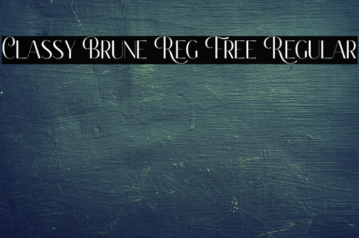 Classy Brune Reg Free Regular Example 1