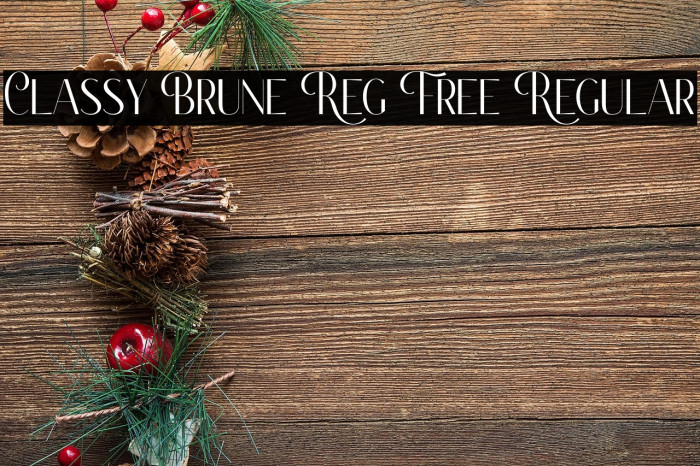 Classy Brune Reg Free Regular Example 2