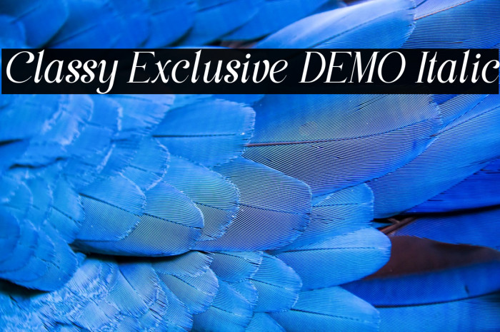 Classy Exclusive DEMO Italic Schriftart examples