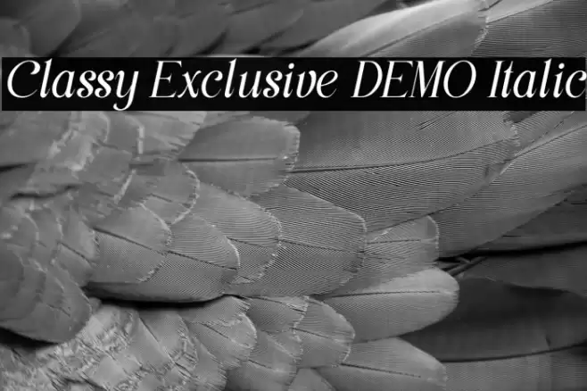 Classy Exclusive DEMO Italic Font examples