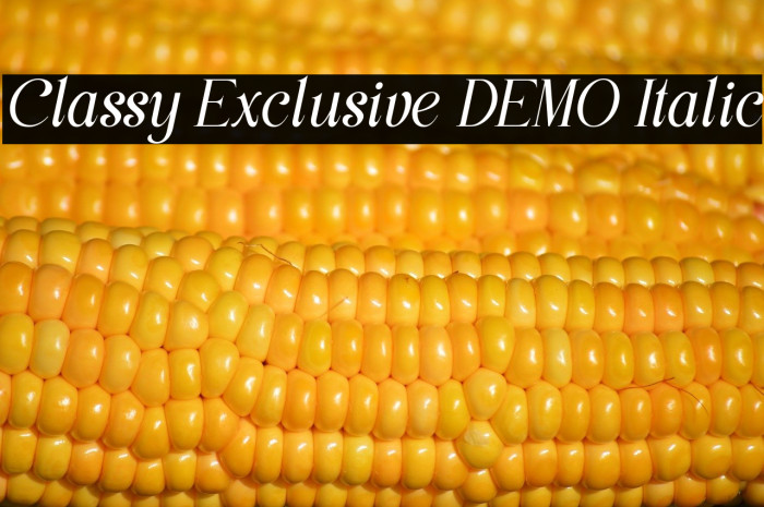 Classy Exclusive DEMO Italic Schriftart examples