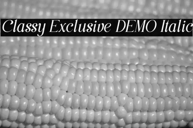 Classy Exclusive DEMO Italic Font examples