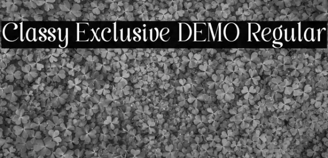 Classy Exclusive DEMO Regular Caratteri examples